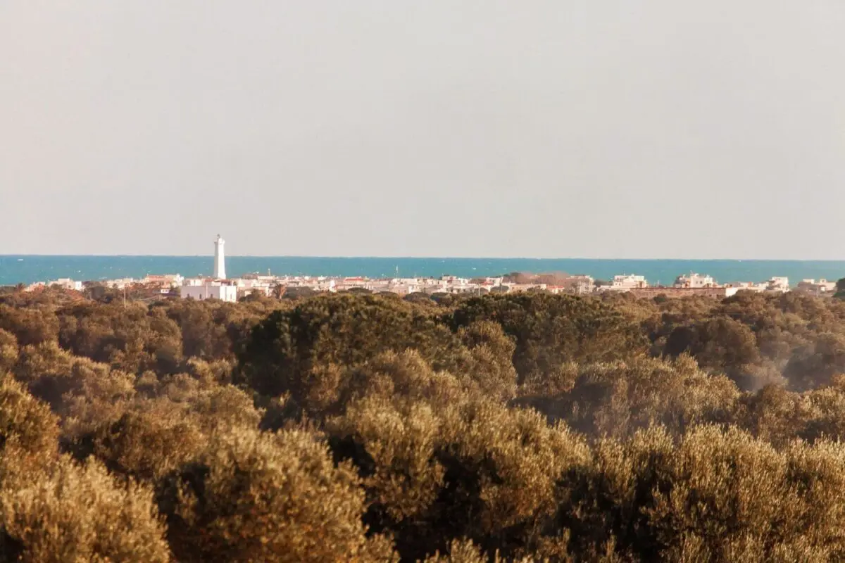 Destination wedding Italy, Masseria Pettolecchia