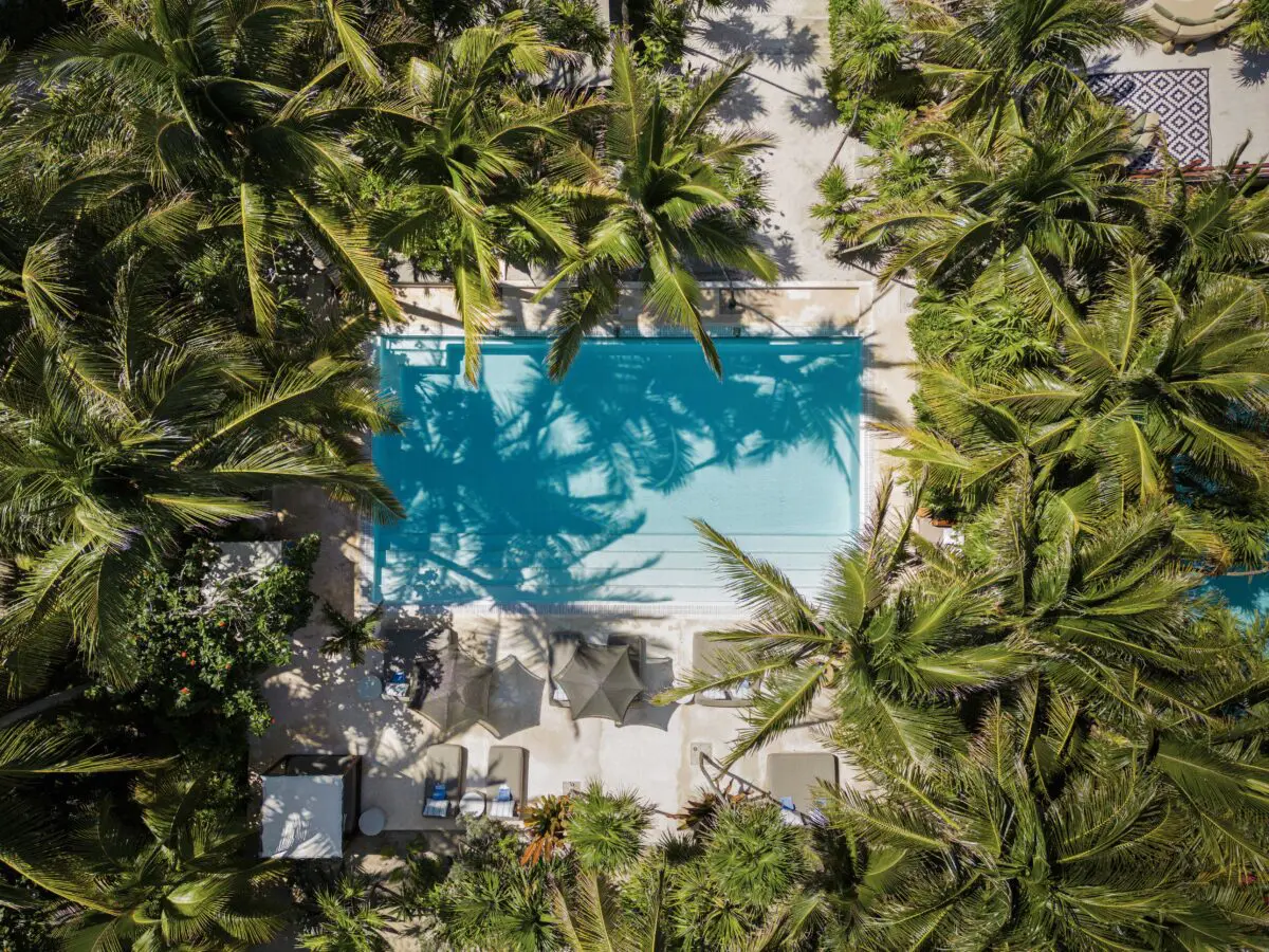 Aerial view of pool at Jashita Hotel Tulum, a luxurious Tulum wedding venue surrounded by palm trees.