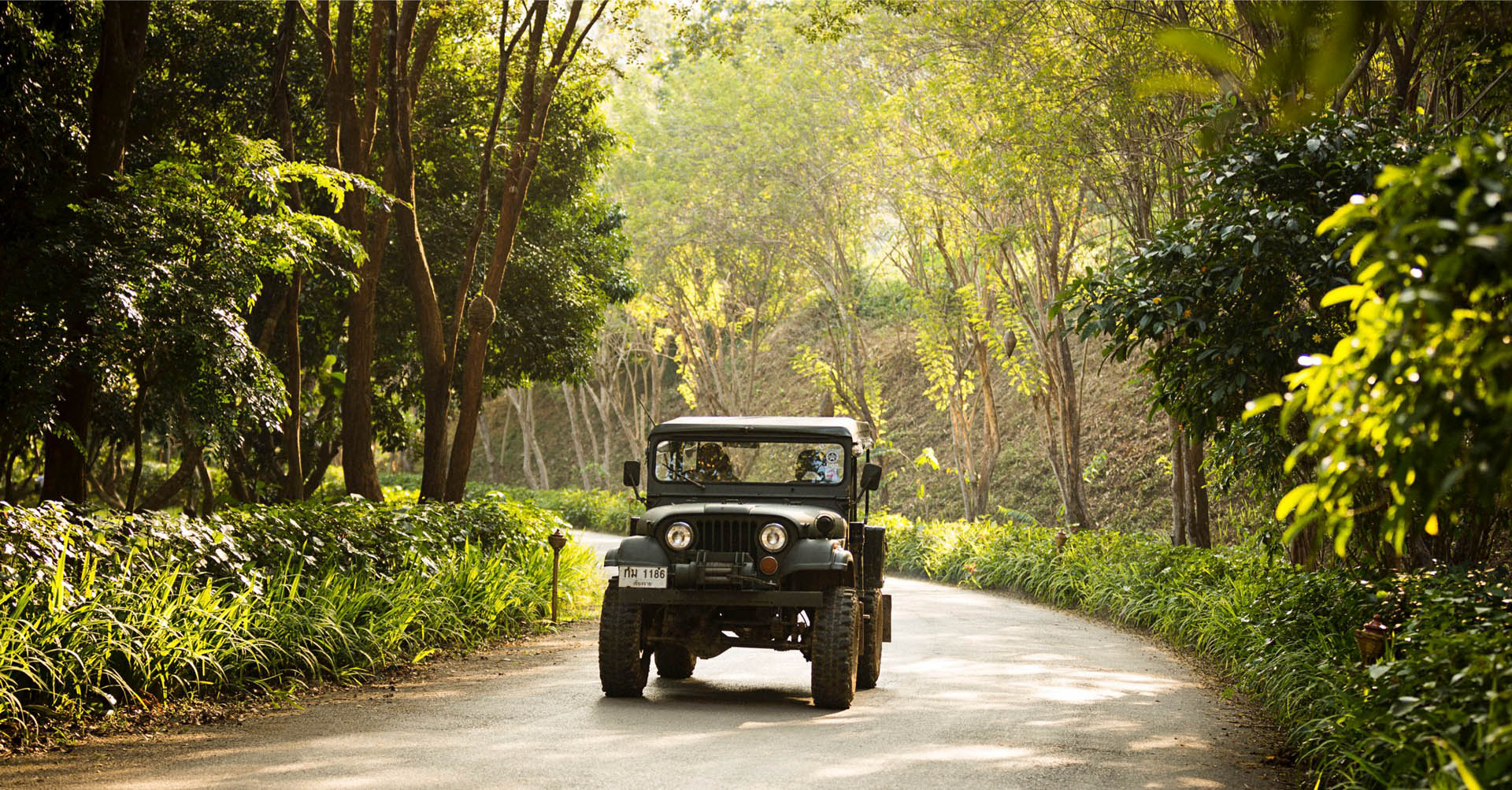 Jeep Tour