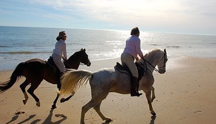 Horseback riding on the beach