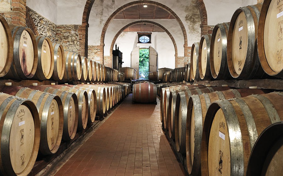 Olive Oil and Wine Tasting Room