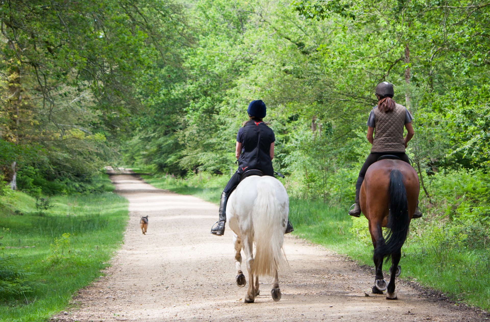 Horse riding