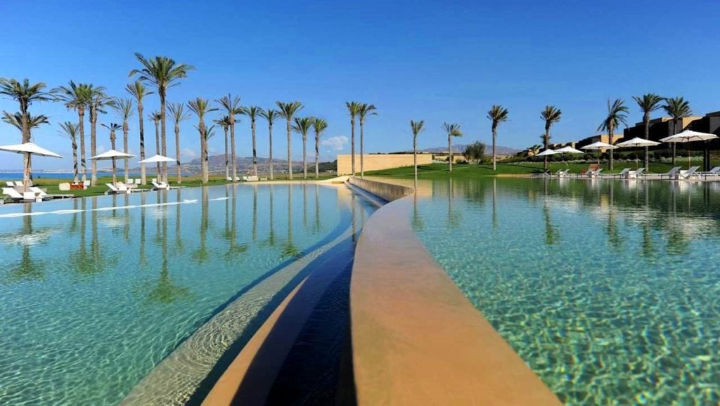 resort pool with palm trees