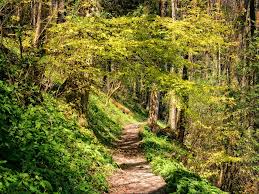 Hiking and biking