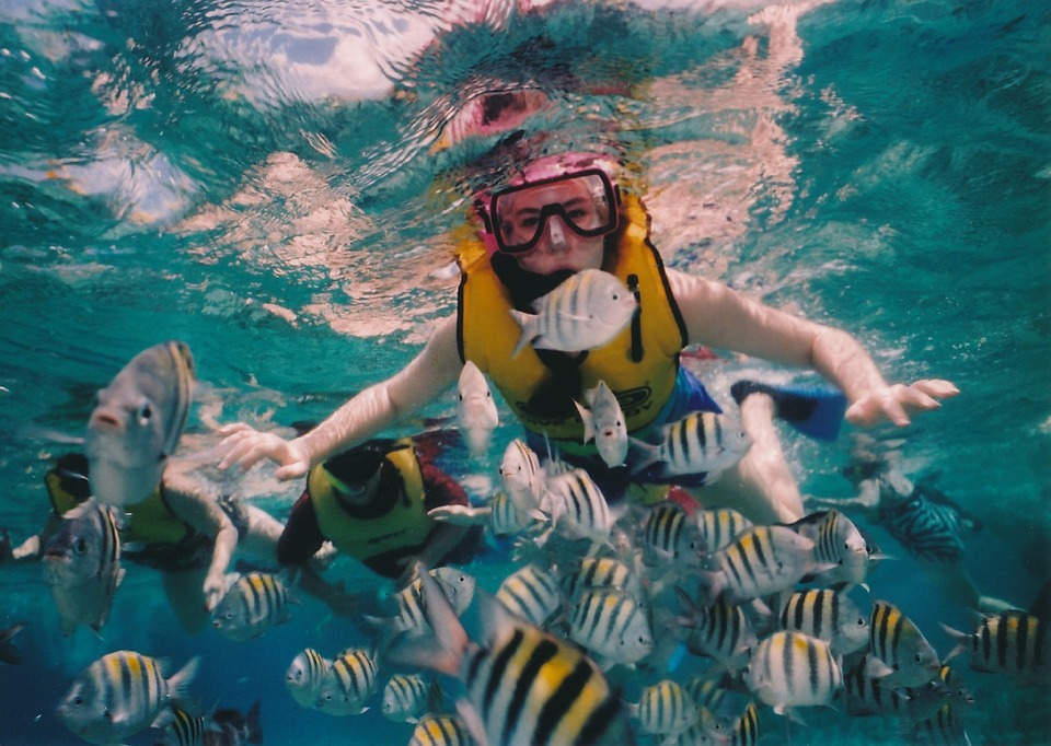 female snorkeling with many fish