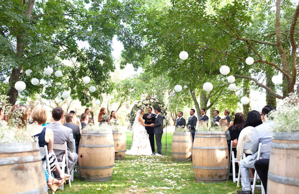 wedding in a vineyard with wine barrels