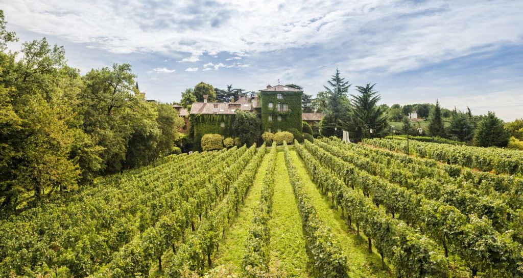 Honeymoon in the Italian Countryside