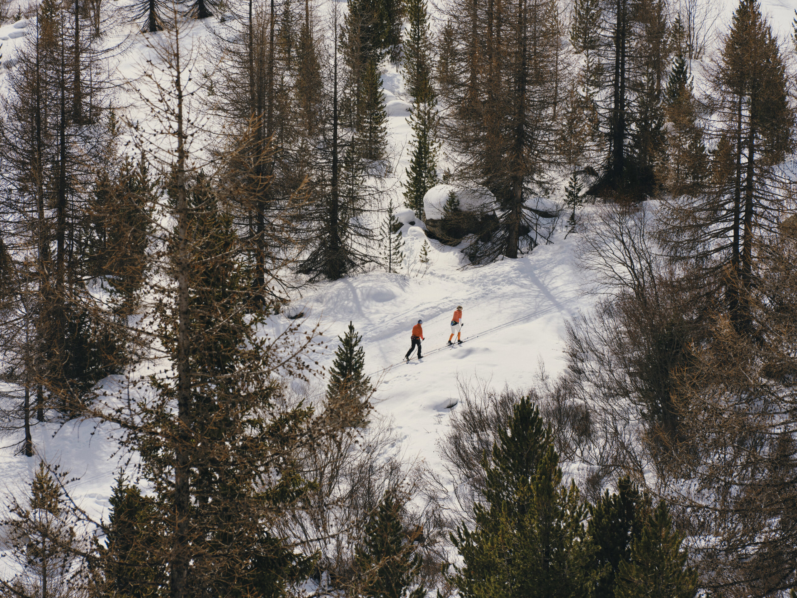 Two skiers in orange jackets ski through a snowy forest in the Swiss Alps.