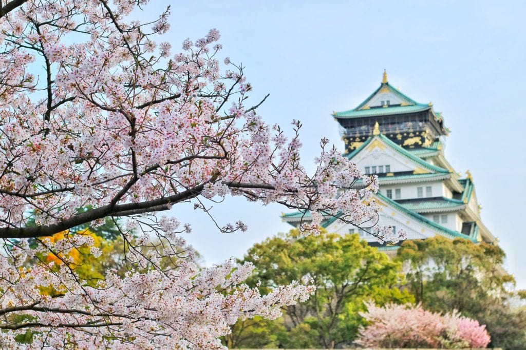 Blooming blossom in Japan