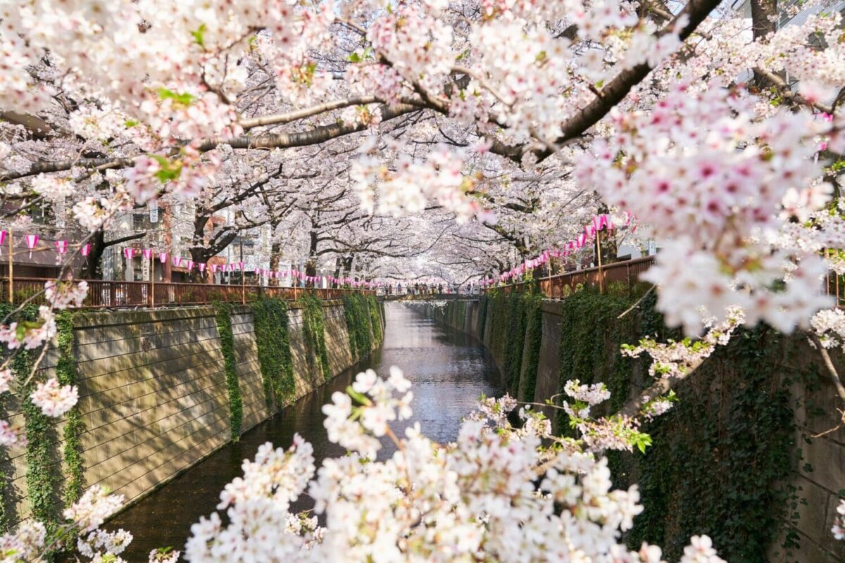 Honeymoon planning, Hotel Gajoen Tokyo