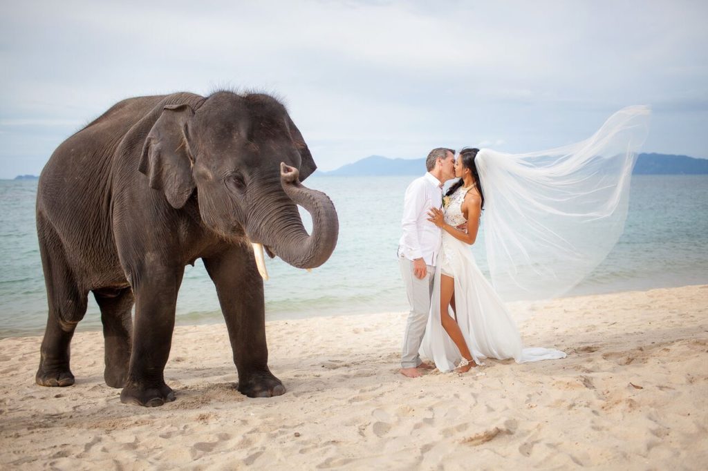 couple getting married at the beach