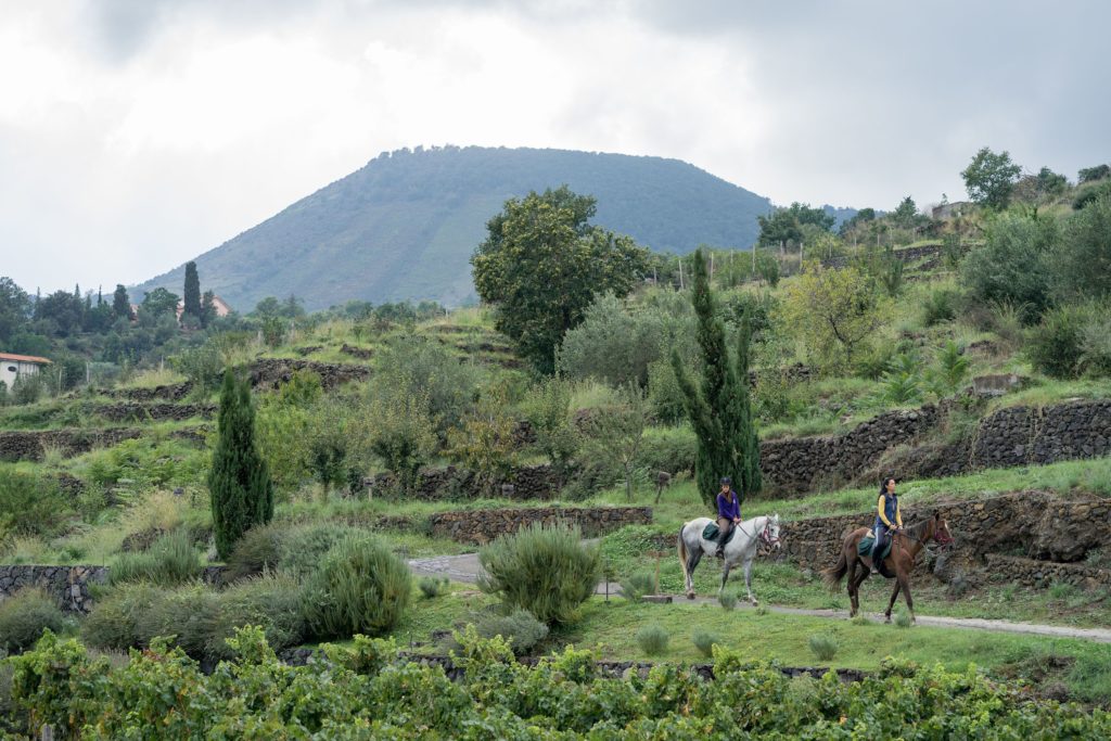 Wedding guests enjoying horseback riding