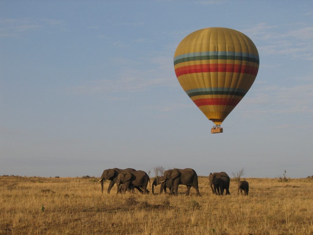 African Safari Hot Air Balloon