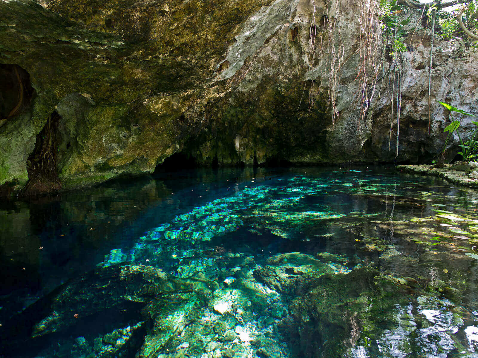 Cenotes