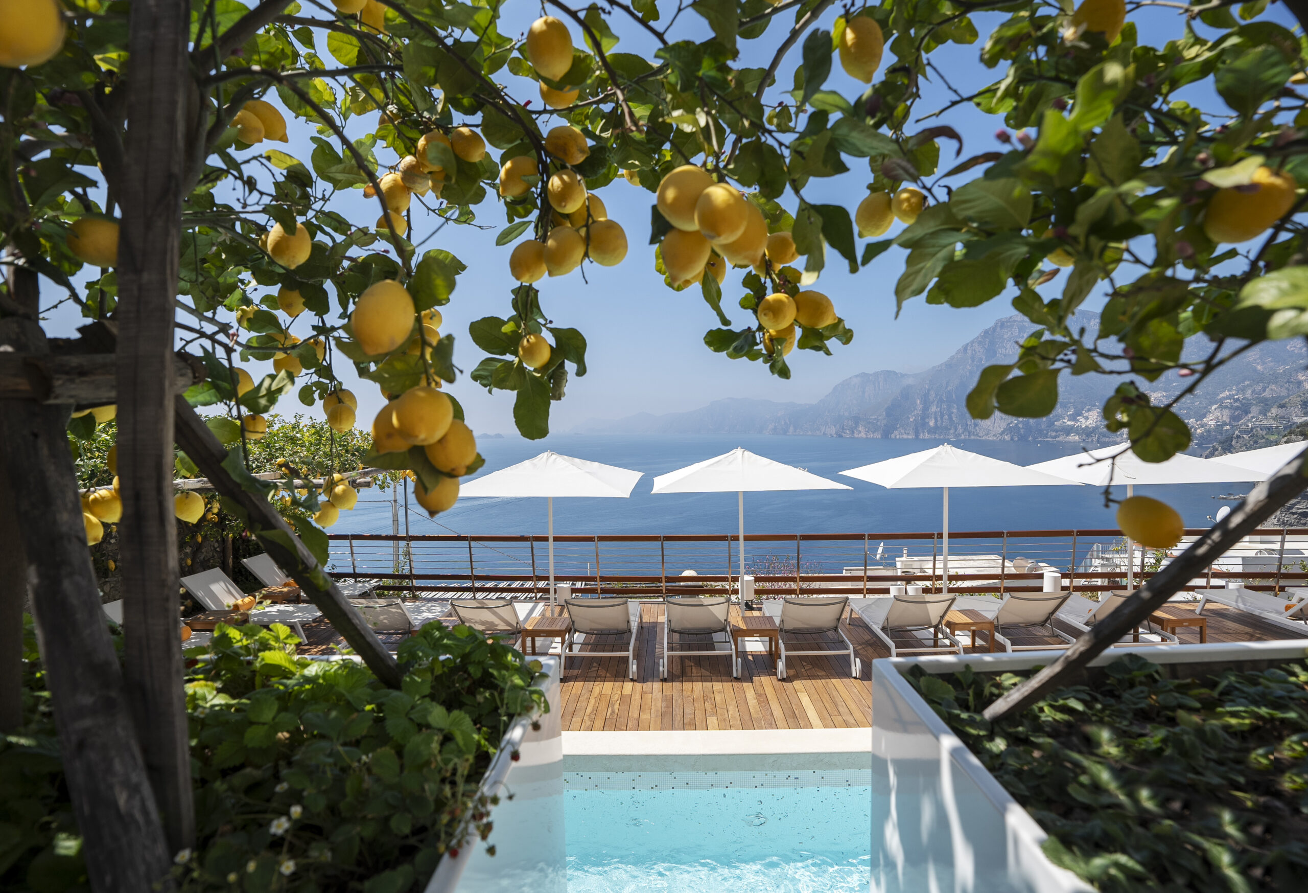 Casa Angelina pool view with lemons, lounge chairs, and the Amalfi Coast in the background.