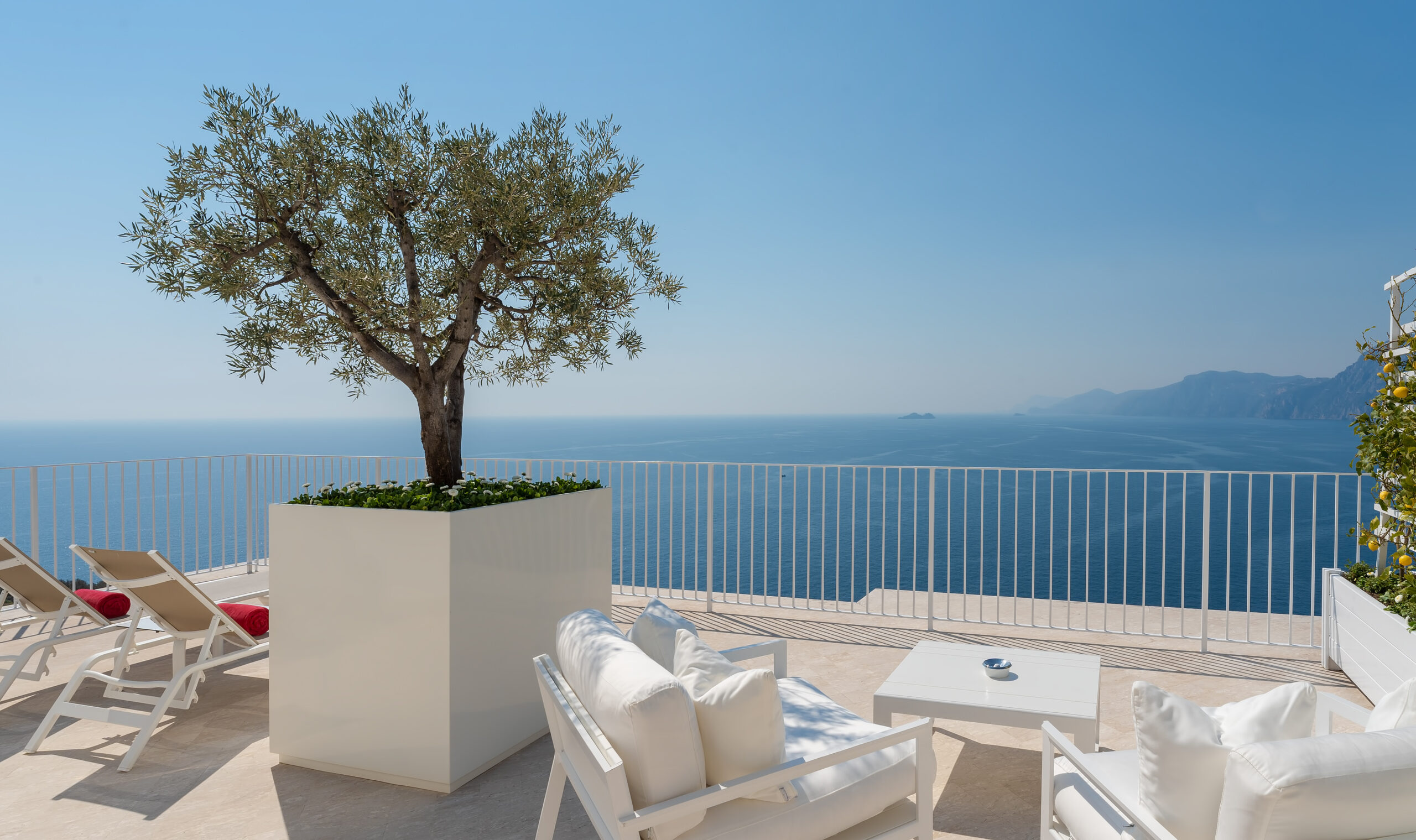 Casa Angelina terrace with olive tree overlooking the Amalfi Coast.