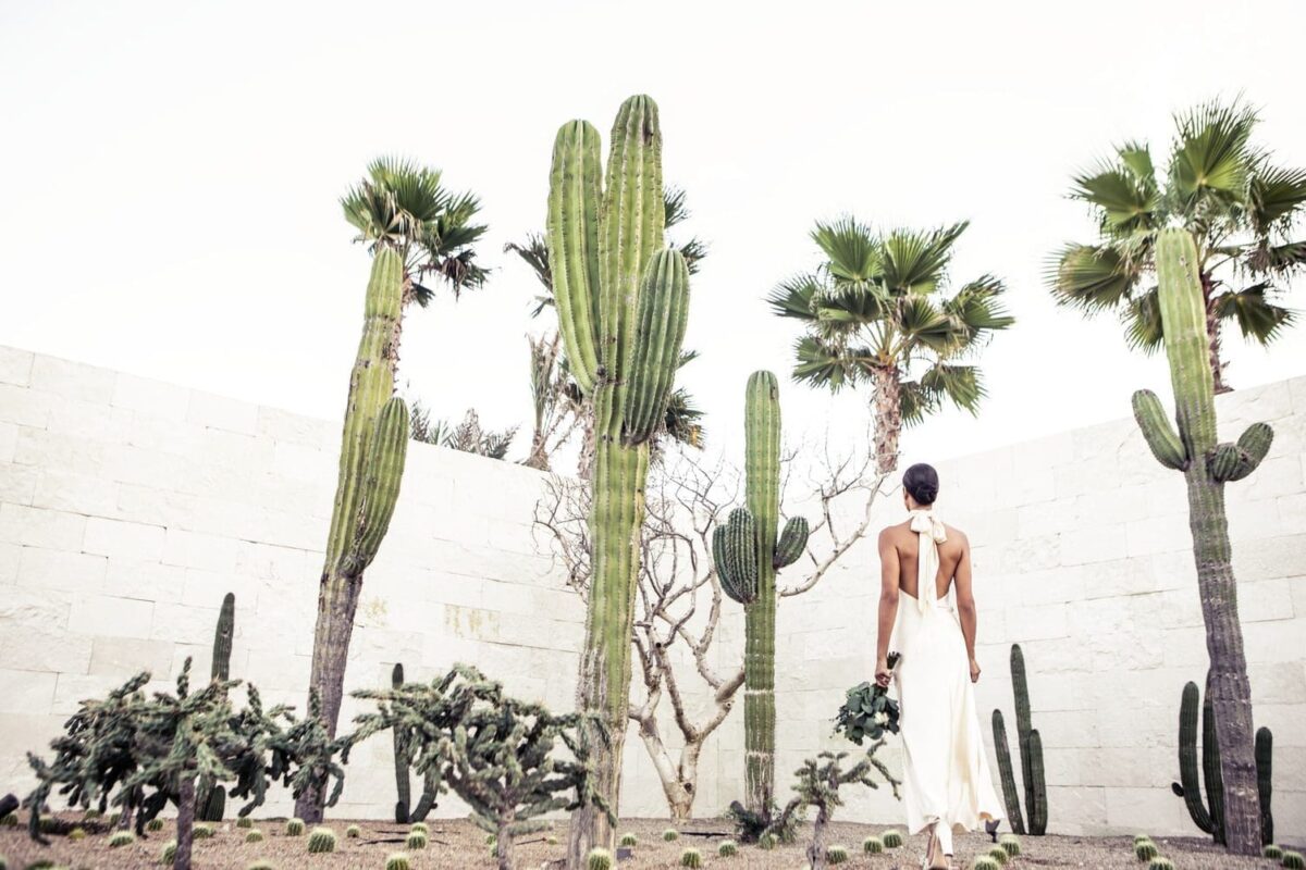 Destination wedding Mexico, Nobu Los Cabos