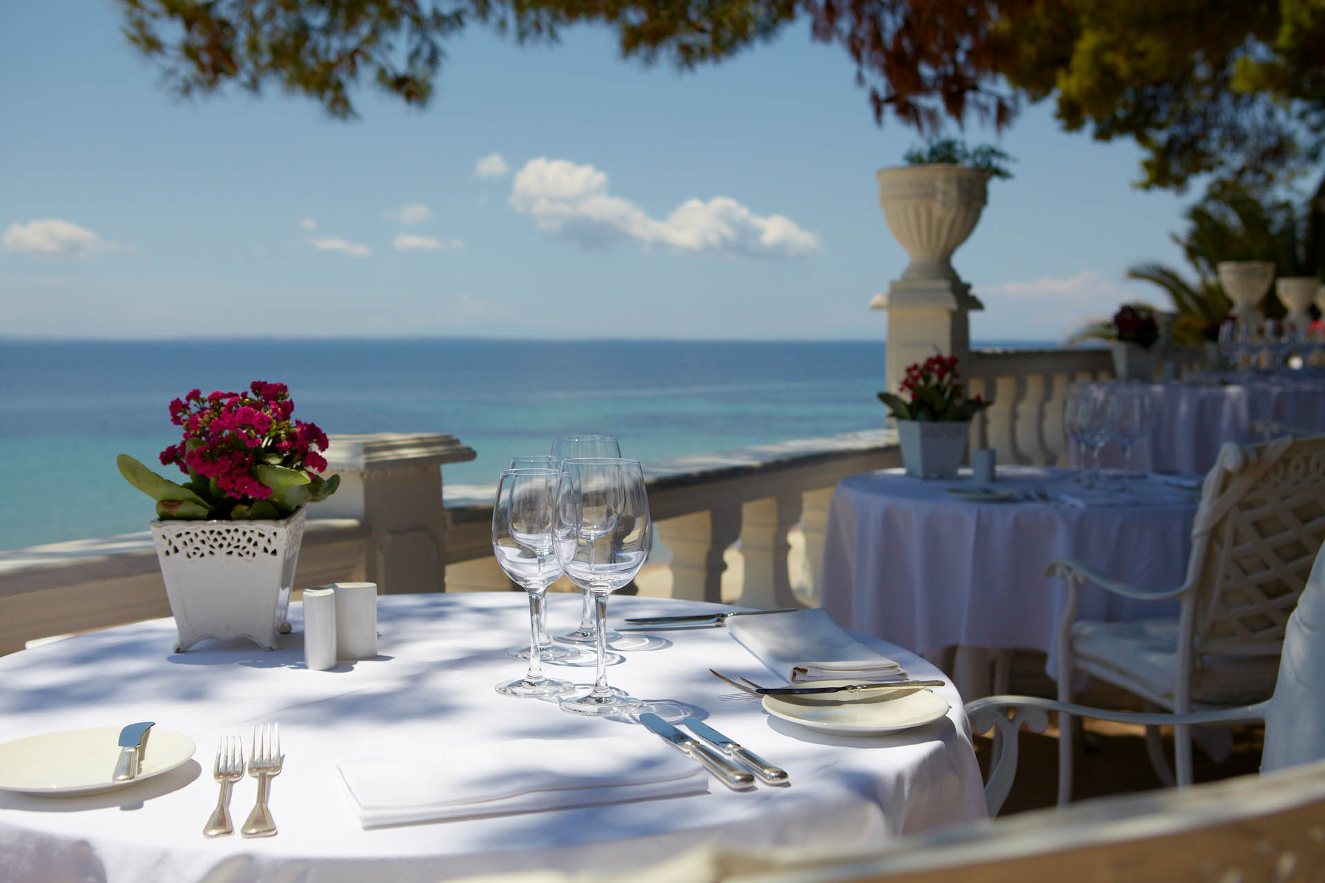 SEAHORSE GRILL