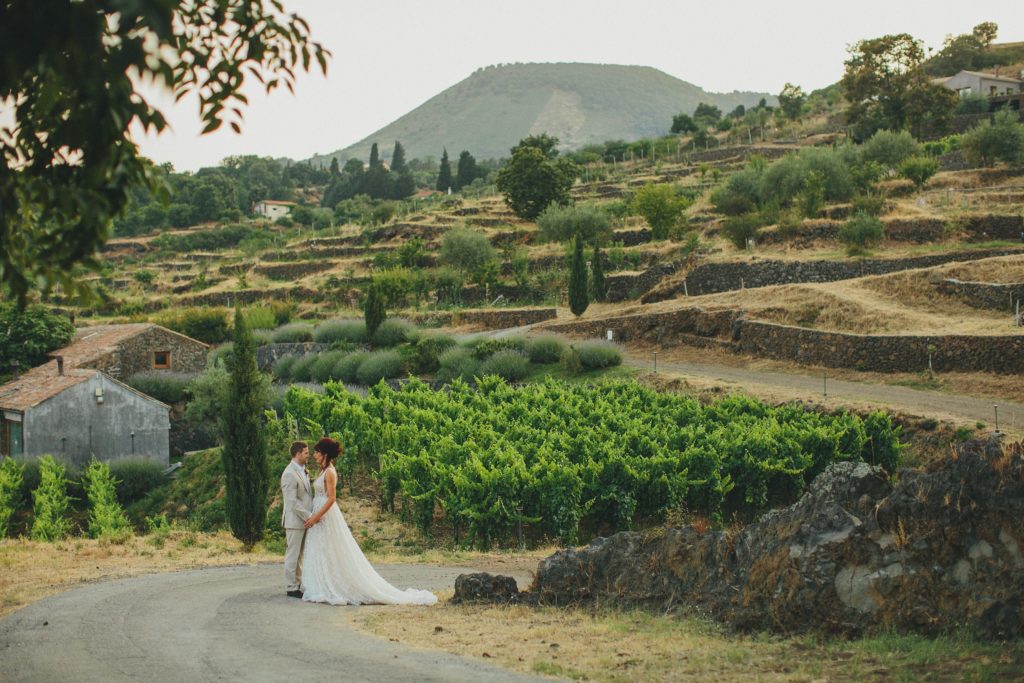 Wedding couple in vineyards