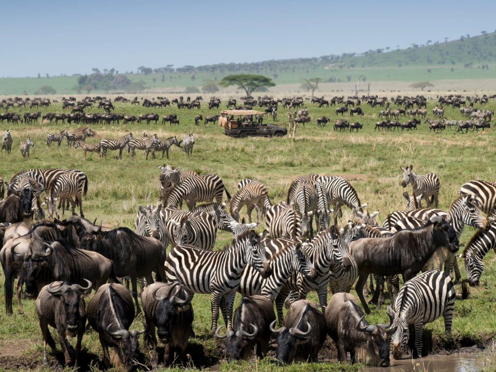 Migration in Africa