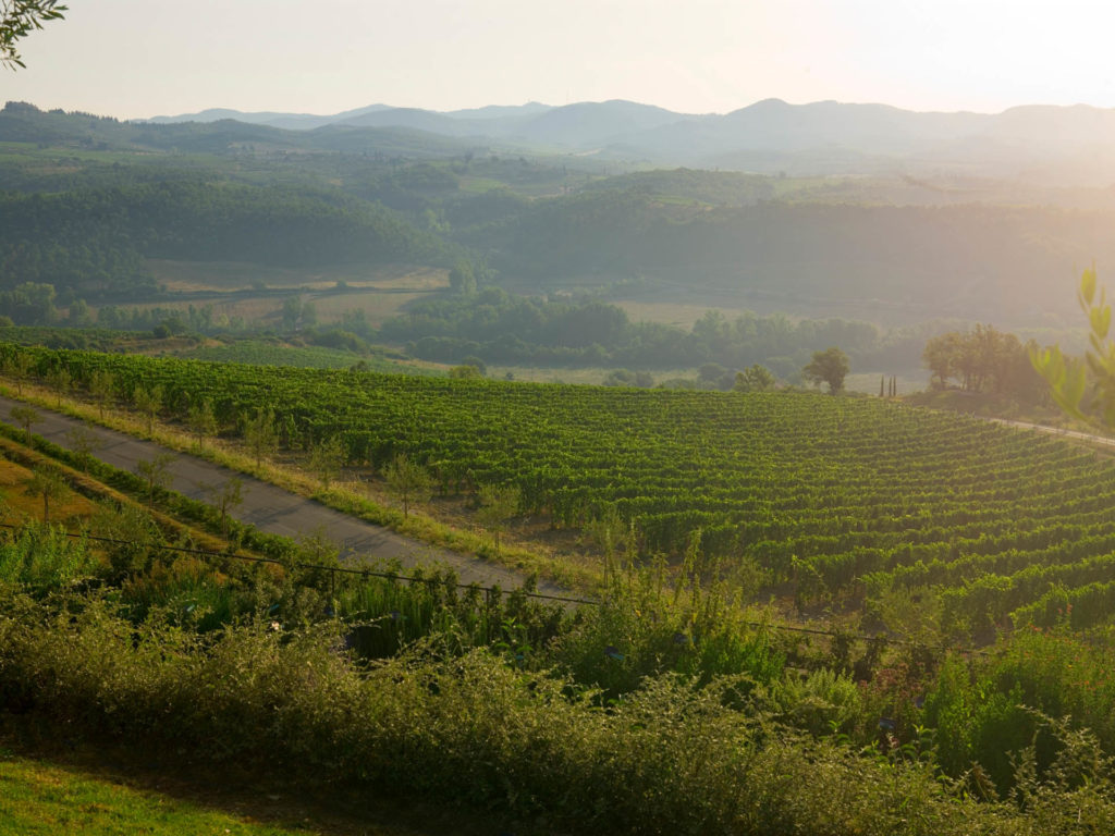 Tuscan countryside