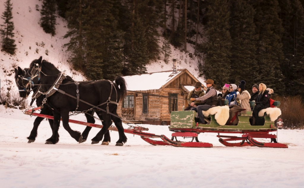 Clydesdale horses pulling sleigh full of people in the snow