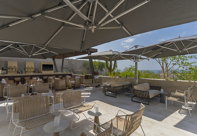 Arabica Coffee Bar