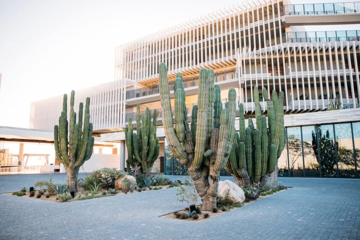 Destination wedding Mexico, Solaz a Luxury Collection Resort