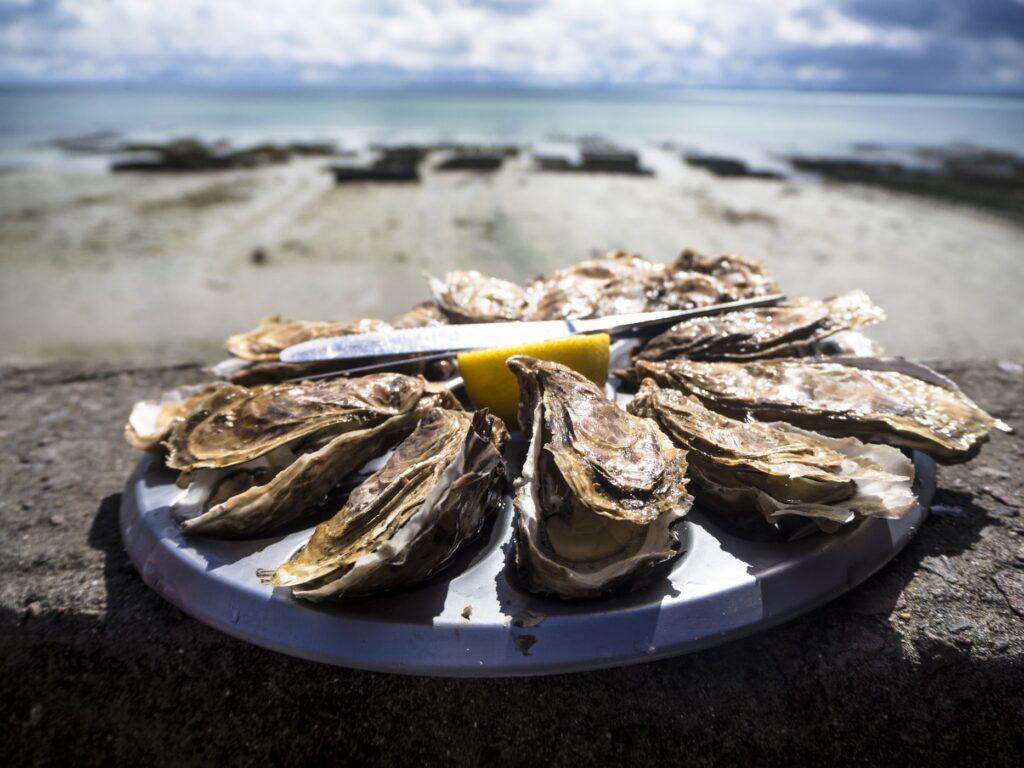 Oysters on a plate