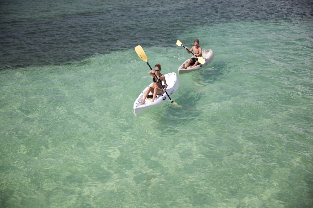 Kayak to Lunch on Shell Beach