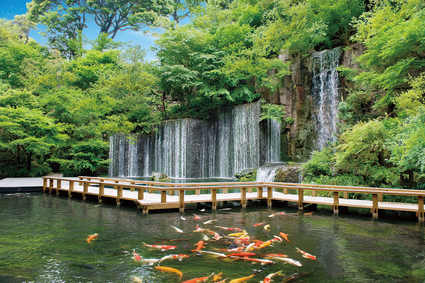 Waterfalls & koi pond