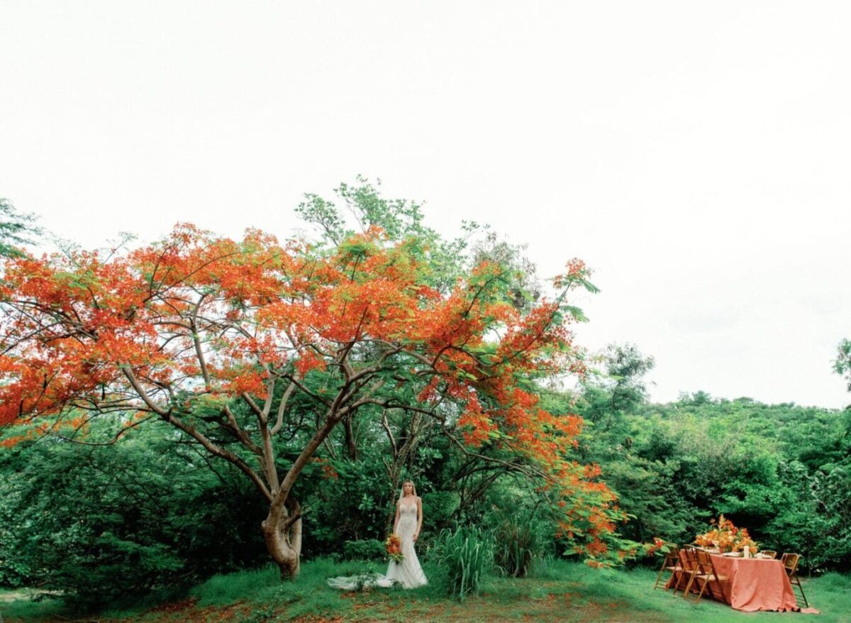 Caribbean wedding, Mandarin Oriental Canouan