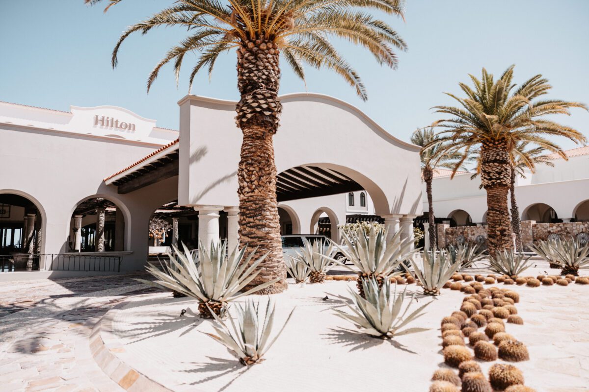 Hilton Los Cabos entrance with palm trees and agave plants, a beautiful setting for a Los Cabos destination wedding.
