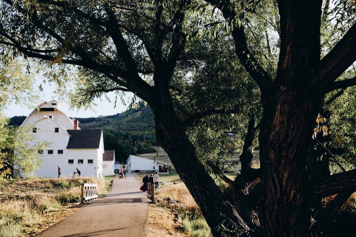 Luxury wedding, Waldorf Astoria Park City