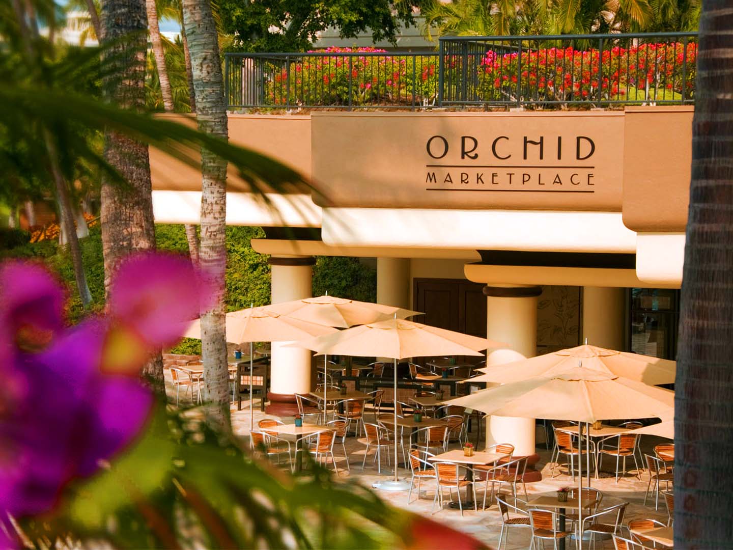 Orchid Marketplace