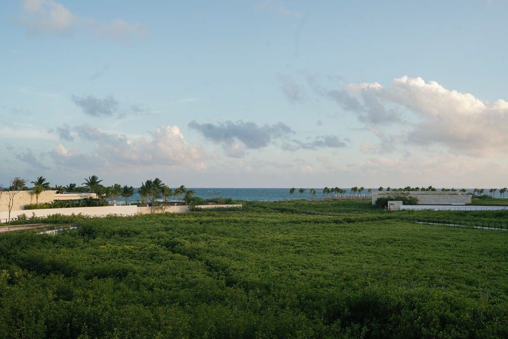 Destination Wedding Mexico, St. Regis Kanai