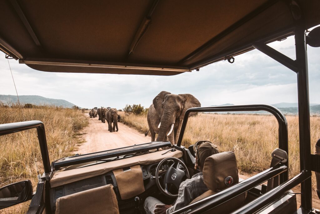 Elephants approaching an empty safari jeep