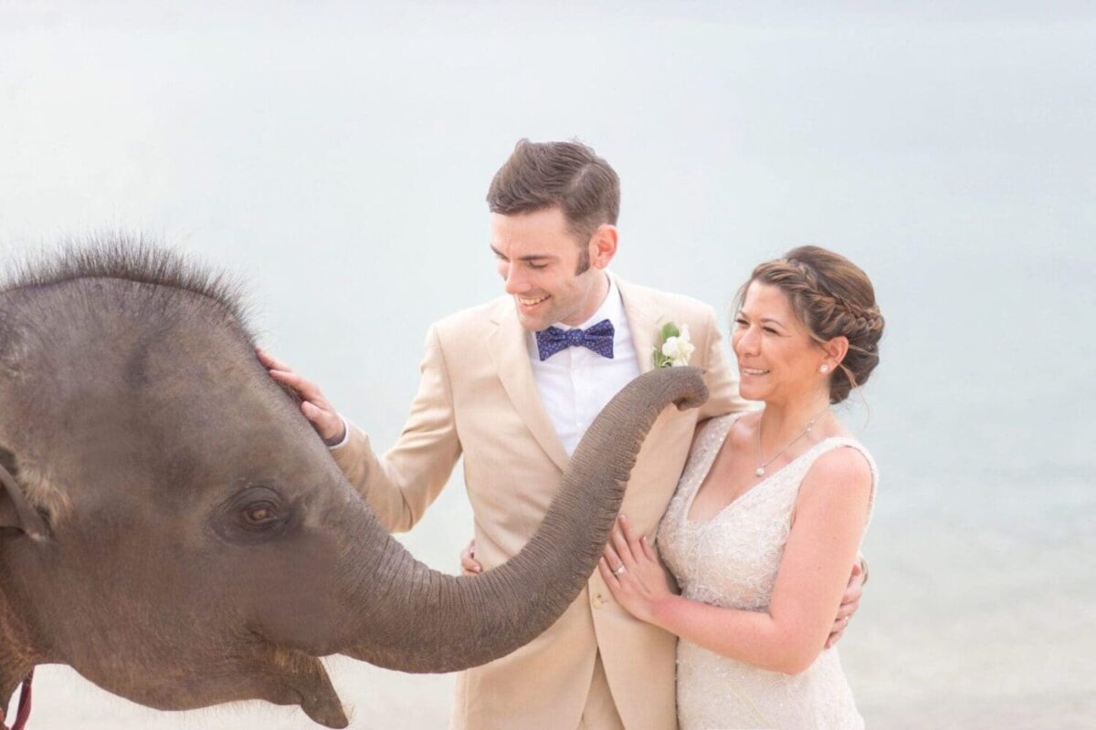 Bride and groom smiling with an elephant on a beach, a unique destination wedding moment
