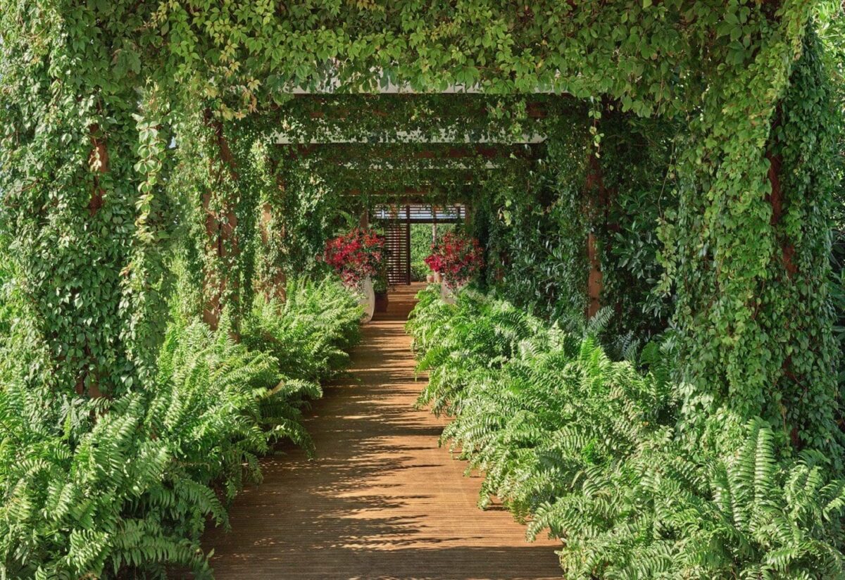 Destination Wedding Mexico, EDITION at Kanai