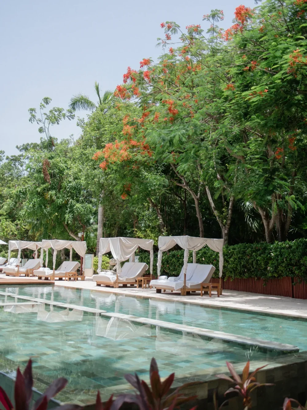 Luxury resort pool with cabanas and vibrant tropical foliage.