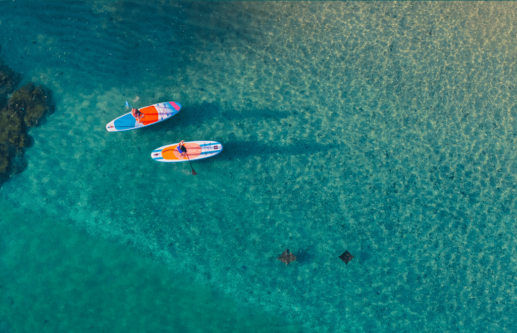 Paddleboarders on turquoise water near Waldorf Astoria Costa Rica, with two stingrays visible below.